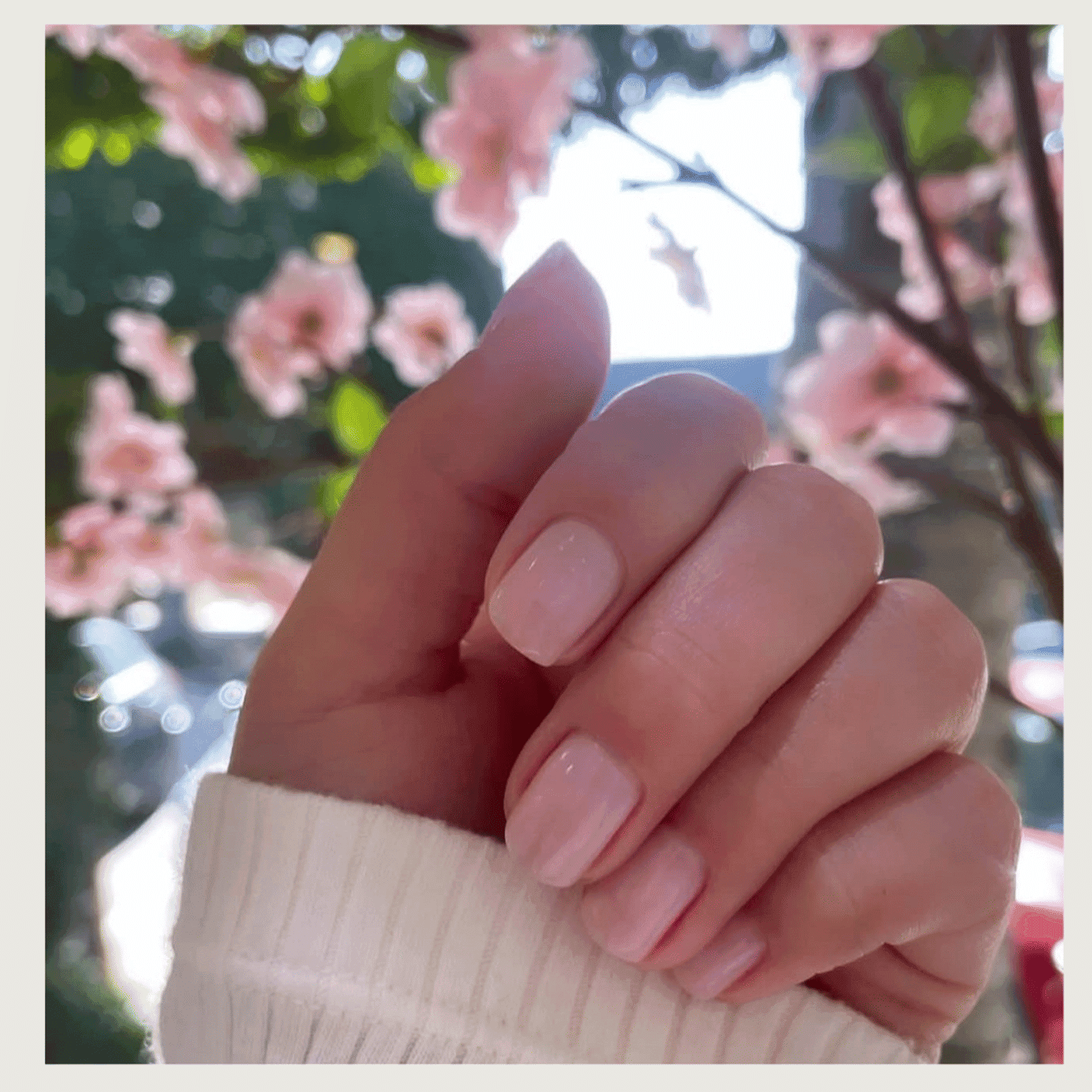 Portrait of Gloria Altobelli, a professional stylist at Mark Taylor Salon, showcasing their expertise and style.